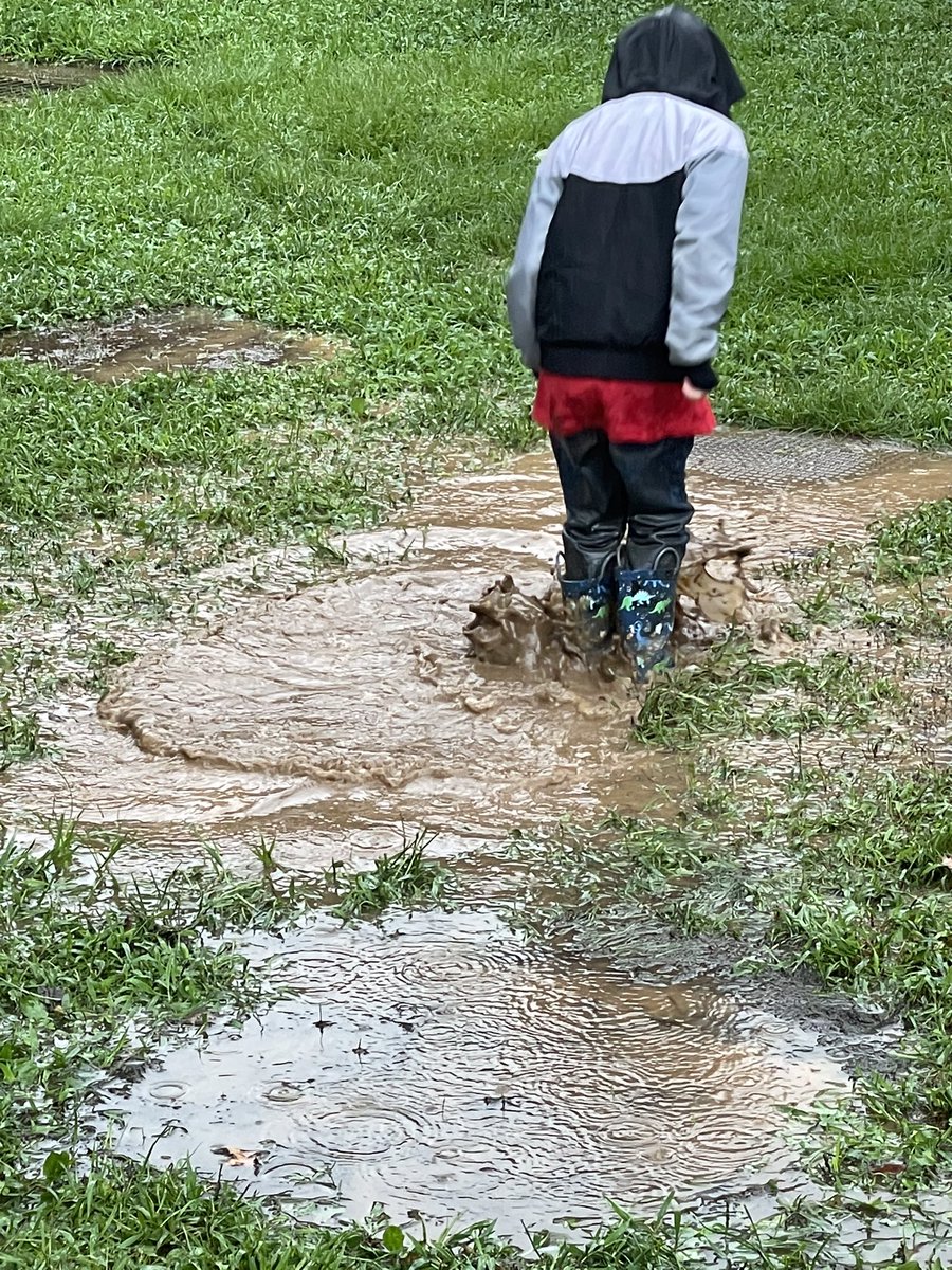 Meg Franco tweet media