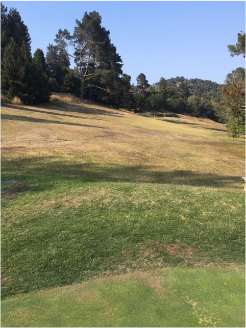MillValleyDPW's tweet photo. Mill Valley Golf Course, the City’s biggest water user, reduced its water use in August by a massive 65% over the August 2020 amount. That’s 1.55 Million gallons!
Doing our part and working with @MarinWaterInfo to conserve. #droughtishere #MMWD #CAdrought https://t.co/2RcmWlqo0s