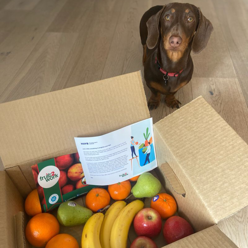 HaysAustralia's tweet photo. Life @ Hays | Check out what Hays Australia have been up to over the month of July! #Promotions #VirtualTraining #WellnessDeliveries #FittnessChallenges #TeamChallenges #Events #Scavengerhunts #CandidateAppreciation #WeareHays #LifeatHays #JoinHays https://t.co/yqxs98hysO