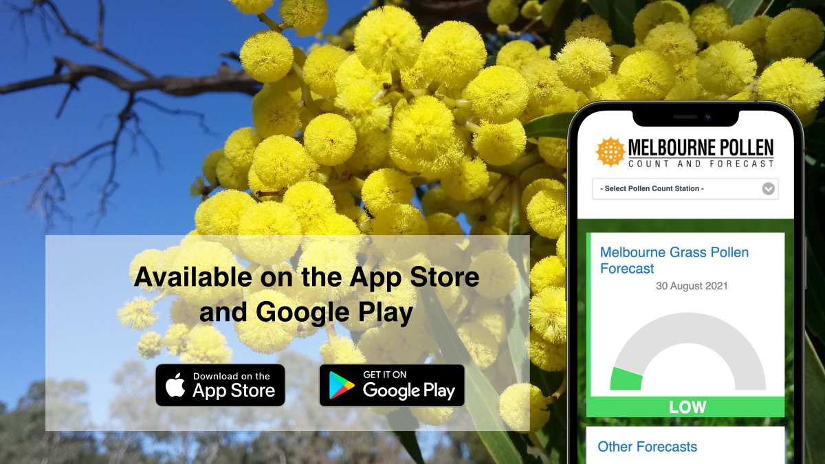 Melbourne Pollen Count and Forecast on Twitter "Why isn't wattle one