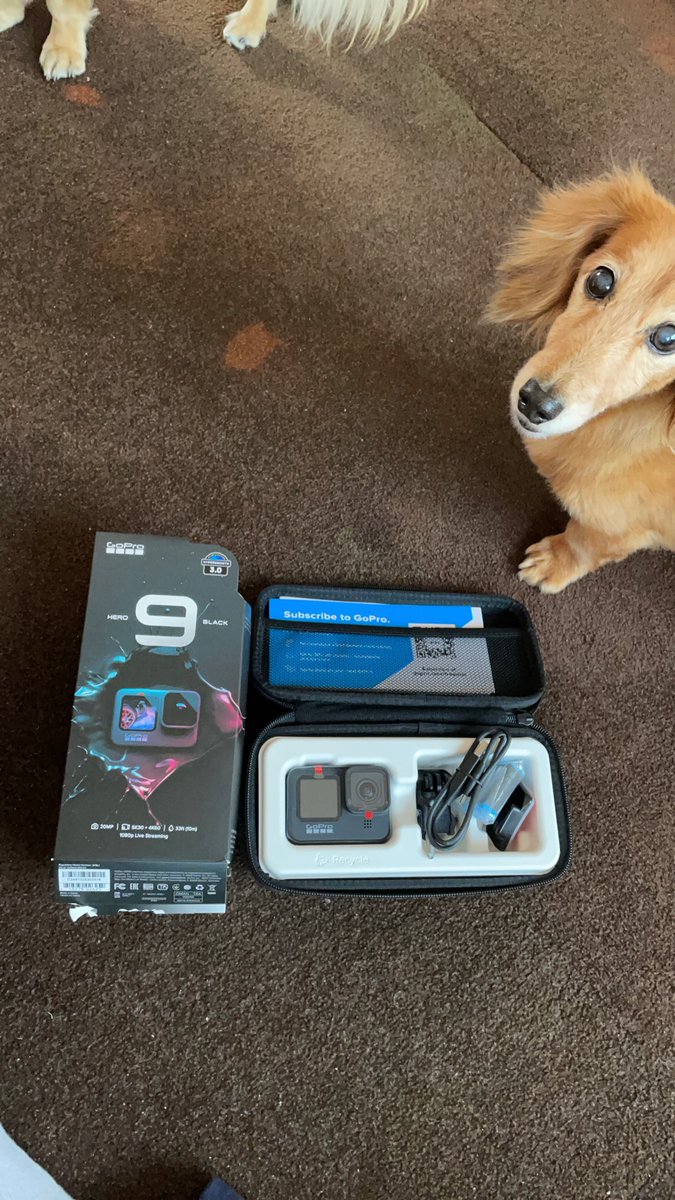 PinkDolphin_SH's tweet photo. GoPro9買っちゃいました🏖 https://t.co/UPruSjTp1m