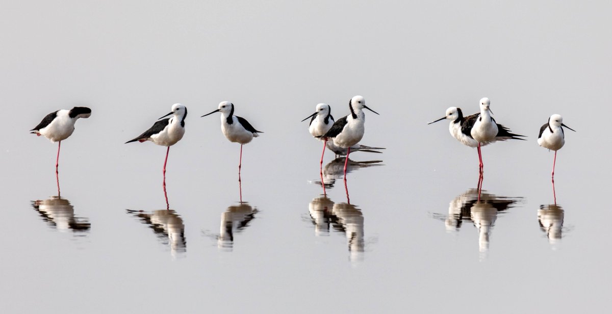 Andrew Geschke tweet media