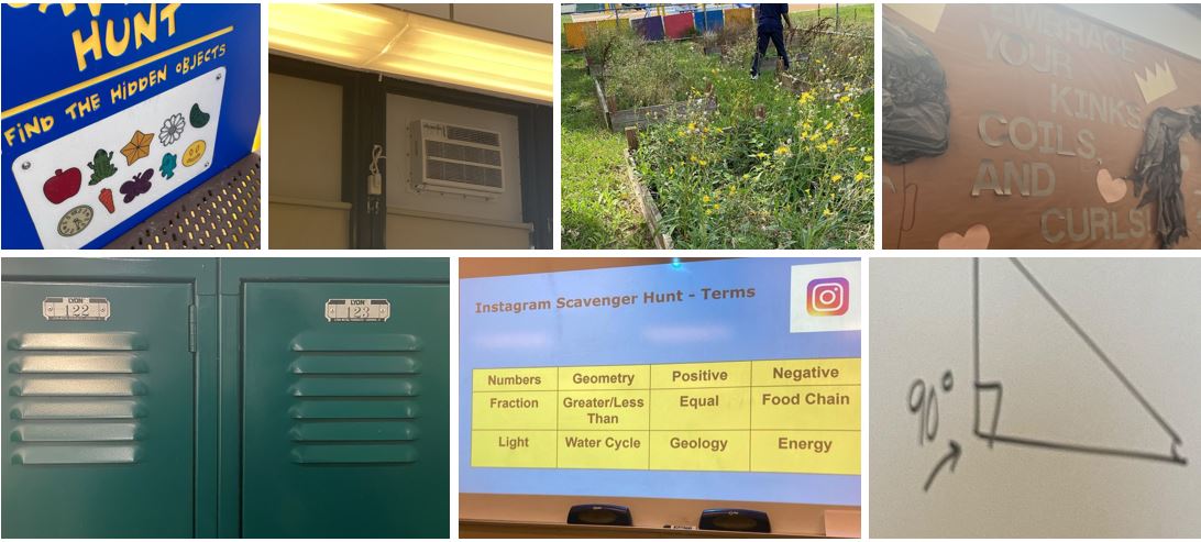 Misty Rhodes tweet media