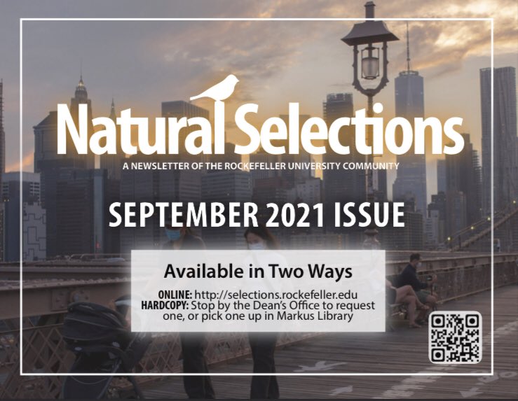 New Natural Selections available now! The September issue features:

-an interview with outgoing Dean of Graduate and Postgraduate Studies, Sid Strickland
-a piece on wildfires
-Culture Corner's take on four historic festivals
-and Natural Expressions!

selections.rockefeller.edu/wp-content/upl…