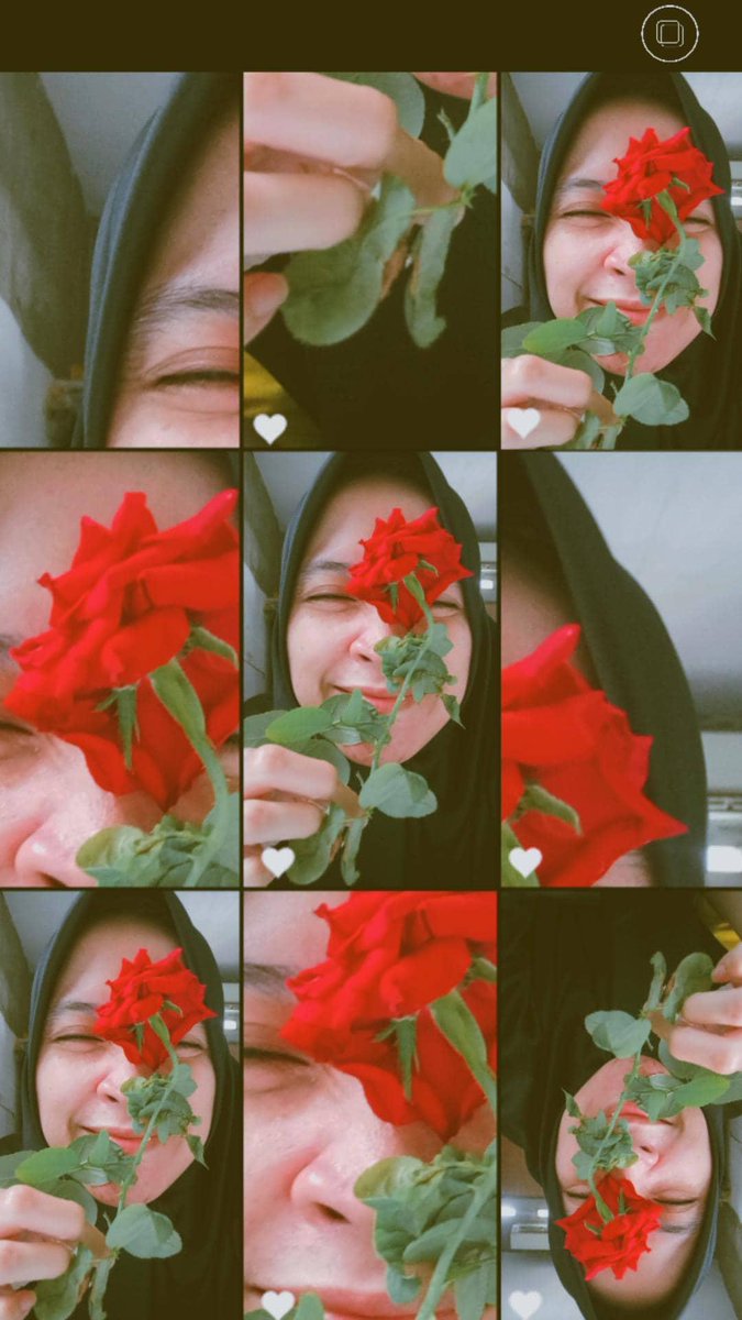 sayangsofy's tweet photo. Cantiiik tapi sayang dia berduri https://t.co/kUAmVx2E2a