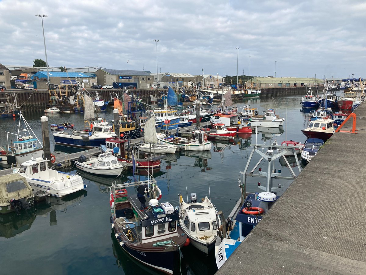 Our researcher Oscar has been in Northern Ireland this week speaking to vessel owners and skippers for our #FleetSurvey.

Find how your fishing business can take part at seafish.org/fleet-survey
