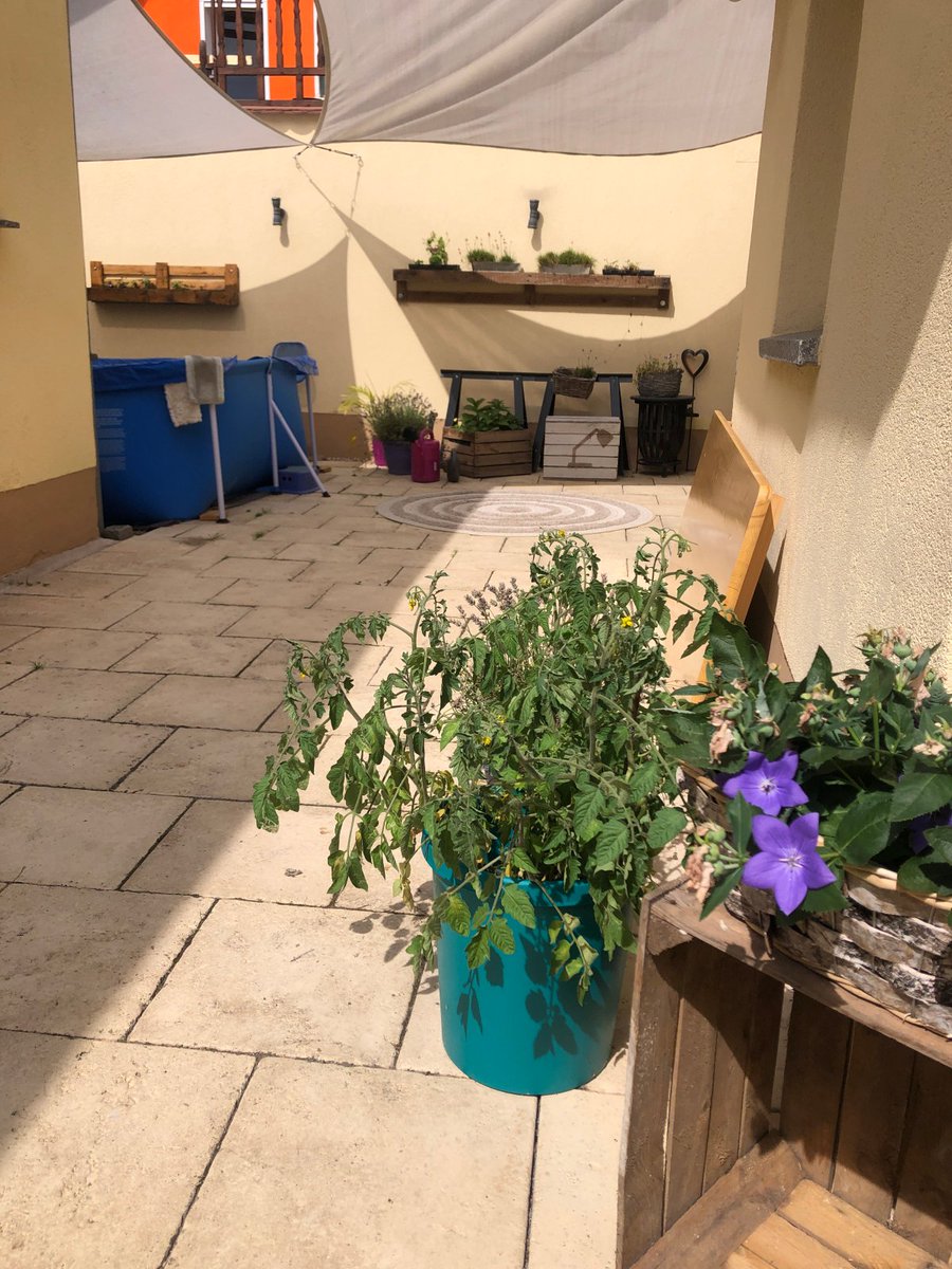 Hier ein #TB aus dem sonnigen August! Wir werden den Sommer vermissen. 🌞