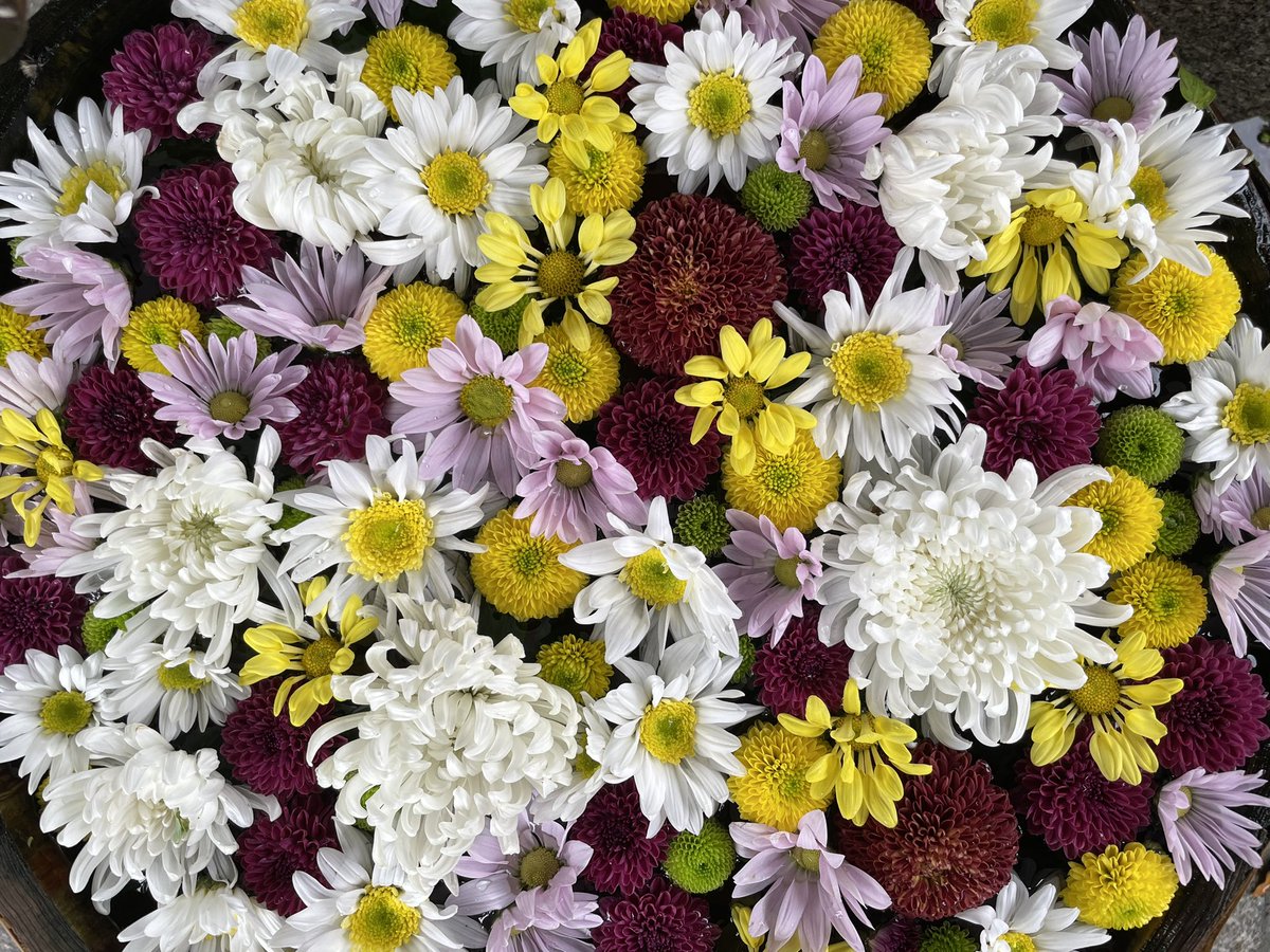 高槻花屋 高槻花屋