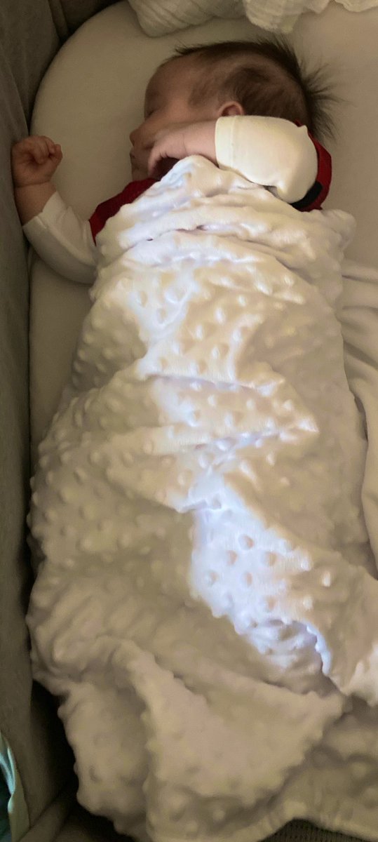 katienuts2's tweet photo. When youโve got team photos this morning and you havenโt worn your boots in 11 months ๐๐งผ๐ชฃ๐งฝ #5amstart at least Flo is dressed and readyโฆeven if she has decided to get more beauty sleep ๐ธ๐ป https://t.co/Bp5inOOwlj