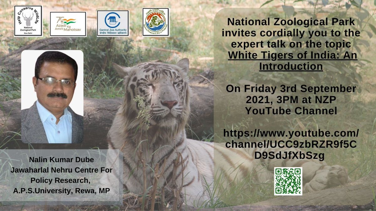 NzpDelhi's tweet photo. Azadi ka Amrit Mahotsav
Conservation to Co-existence
National Zoological Park
Day 3rd
Week 1st
Species - White Tiger.
Event- Online Expert Talk
Time- 3:00pm
@moefcc
@CZA_Delhi
@waza
#Tigers #whitetiger #whitetigersafari #natureeducation #natureawareness #rewastate https://t.co/tiXczFoczV