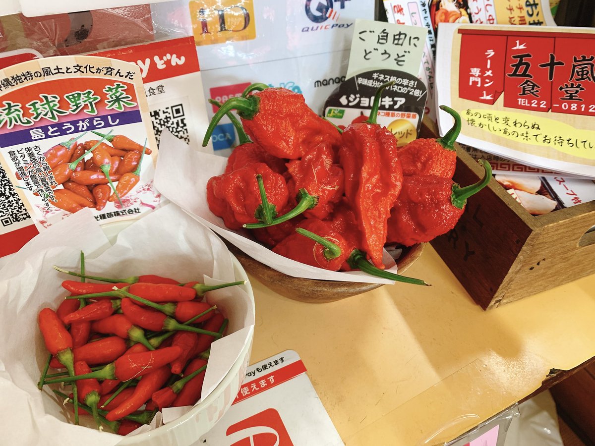 五十嵐食堂 ラーメン 今回は ジョロキアと島唐辛子 が並んでいます 良い色です 勿論 無料でお持ち帰り頂けます 但し 激辛につき お取り扱いはどうぞご注意ください 綺麗な赤色故に素手で触れられる方が多く 運悪くその手でうっかり目や顔を