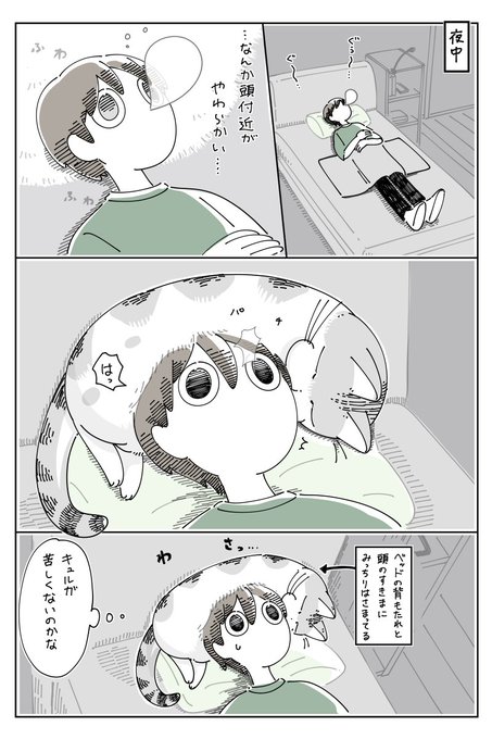 漫画 際どい場所で寝たいらしい に猫好きさんがメロメロ くっつきたいんですよ これされたーい まいどなニュース