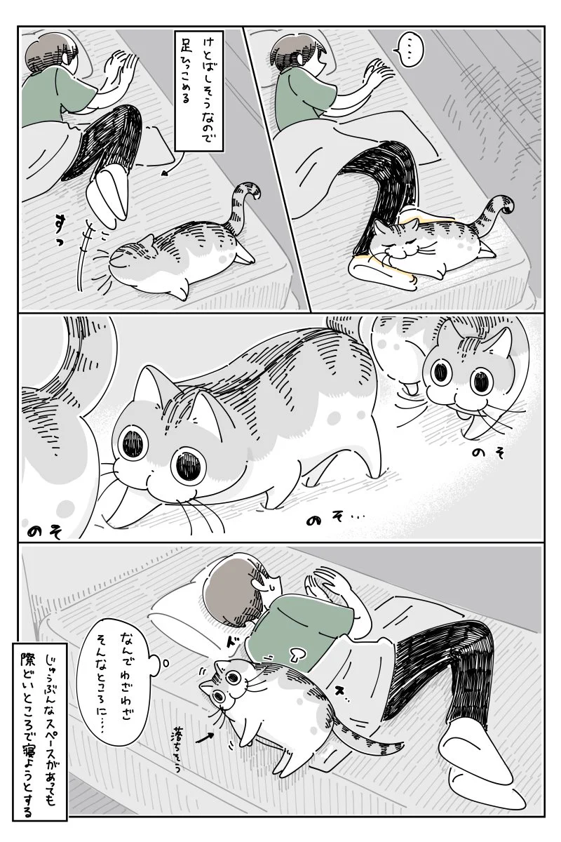 猫あるある？「どうしてそんなところで」と思ってしまうような場所で眠る猫のお話！