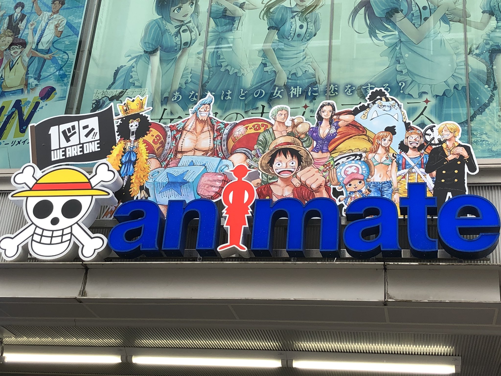 アニメイト池袋本店 祝 100巻 本日は One Piece 100巻の発売日 な なんと当店のロゴもone Piece仕様になってるアニ めっちゃカッコいいアニ Onepiece100 Weareone T Co Lrcx01igr3 Twitter