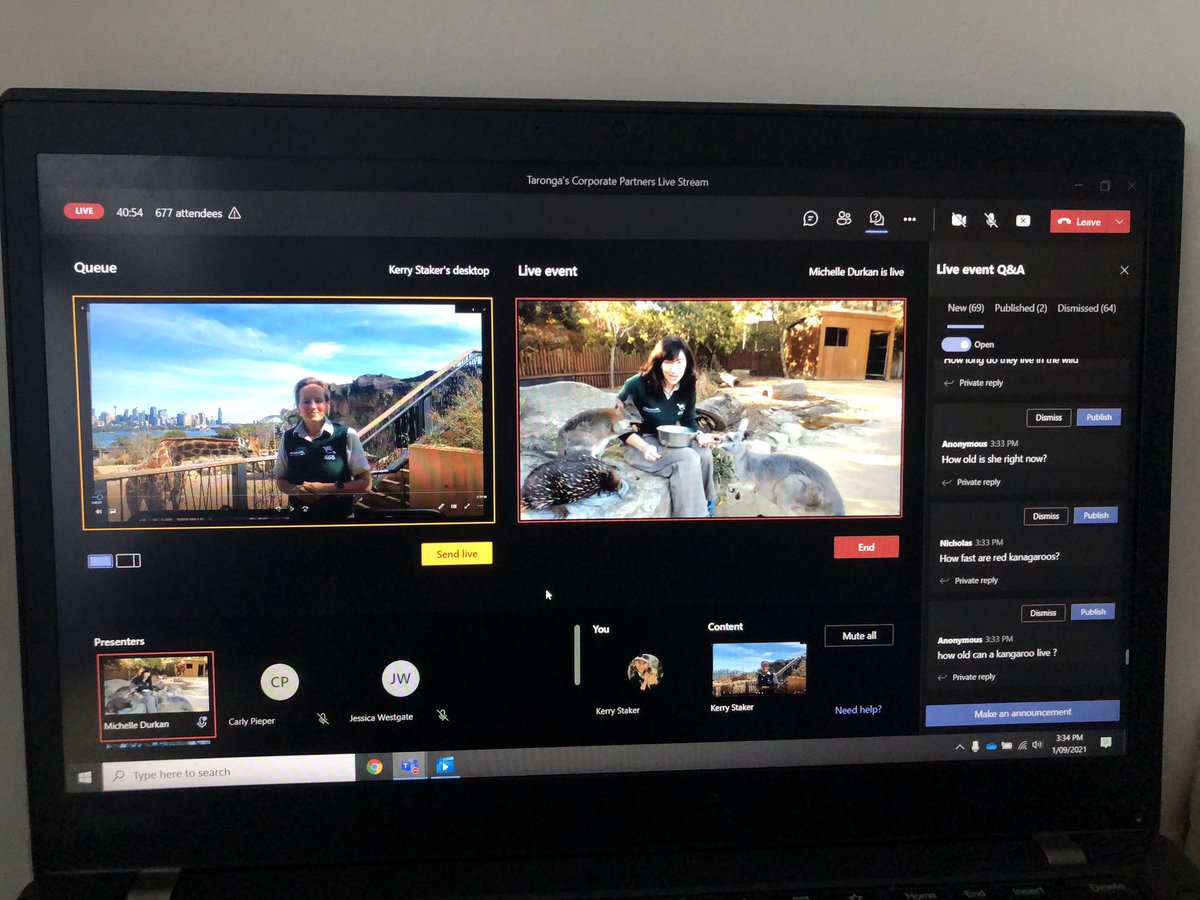 KerryAtTaronga's tweet photo. Titled: What I never knew I would do in the Zoo!!
Producing Zoo Virtual Encounters from home!!
My days at @EdithCowanUni at WAAPA at learning about TV and Film Production pays off…. 20 years later!!
#waapa #producingstuff #taronga #virtualanimalencounters https://t.co/7q2rFll4qo