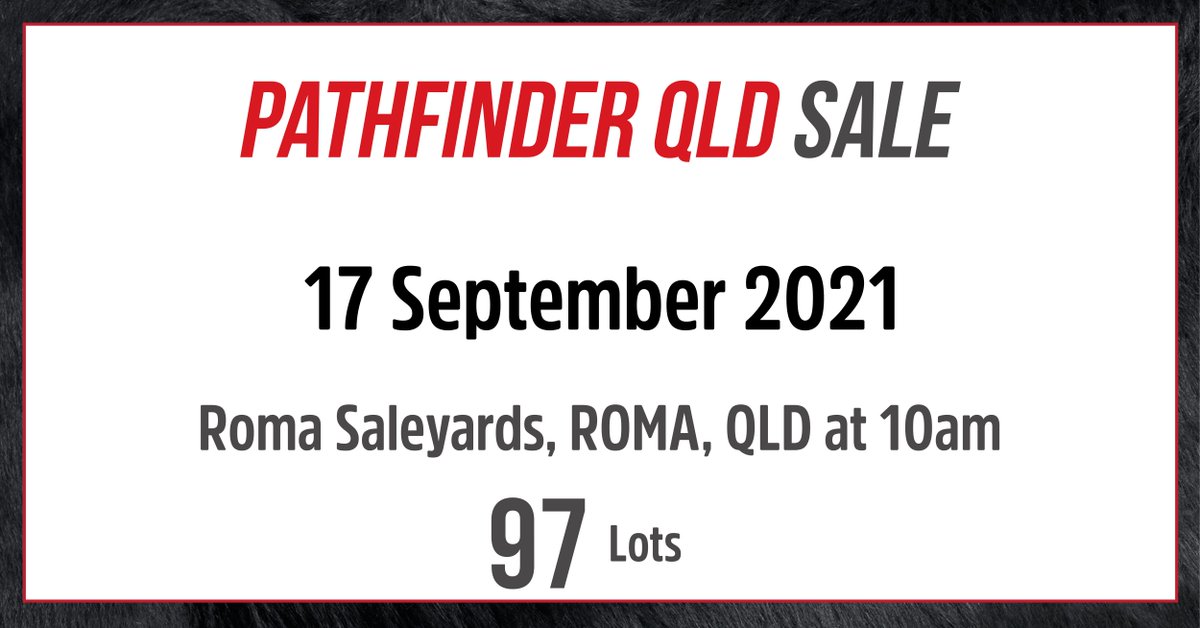 Angus Australia tweet media