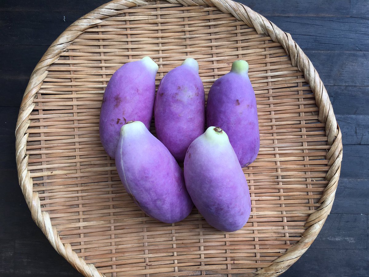 yaohacci's tweet photo. 通草。木通。あけび。
あけびは皮が主役。
ほんのり苦味が、いいよねぇ。

#あけび #木通 #通草 #季節の味 #旬 #山形 #山形のあけび #あけびの皮 #yaohacci

https://t.co/UPyUwV1Us4 https://t.co/GhQLWqSXLl