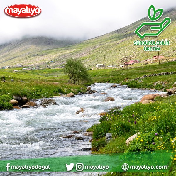 Faaliyetlerimiz sürdürülebilir, iklim değişimlerine uyumlu ancak değişimlere neden olmayan ve çevreye saygılı olmalıdır. Sürdürülebilirlik ve küresel ısınma konusundaki hassasiyetler kurumsal stratejik planlama konularına mutlaka dahil edilmelidir. #sürdürülebilir #mayalıyo