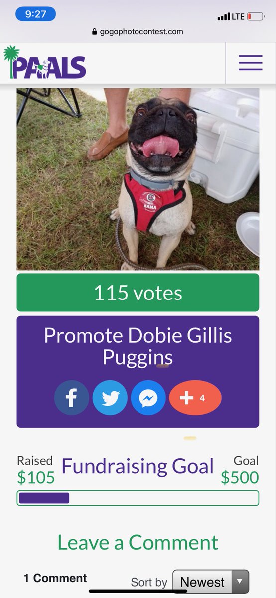 MarianneHatton's tweet photo. Please vote for Dobie!  For just $5 you can help a great cause AND give Dobie his 15 minutes of fame! https://t.co/3K0LRAz7b9