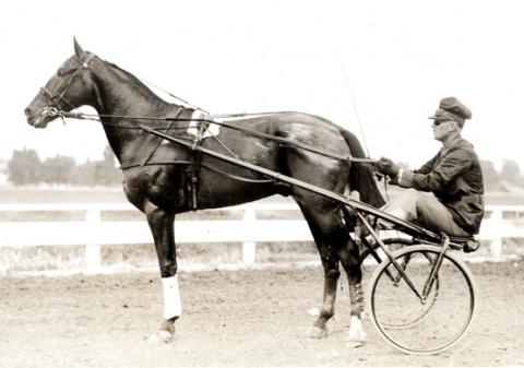 hoosiernations's tweet photo. #OTD 1913 3yo #SingleG traveled to Washington, PA to race a 3 in 5 at the county fair.
Single G 1 - 1 - 1
Joan, f 4 - 2 - 2
Cora Hal, f 3 - 3 - 3
Times: 2:12 1/4, 2:15 1/2, 2:13 1/4
His next race is in Peoria, IL
#IndianaLegend #TheHorseTimeForgot https://t.co/oJAcU2UY5Y