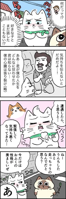 ぼくの気も知らないで│フェリシモ猫部 https://t.co/RmxKk6d24F 