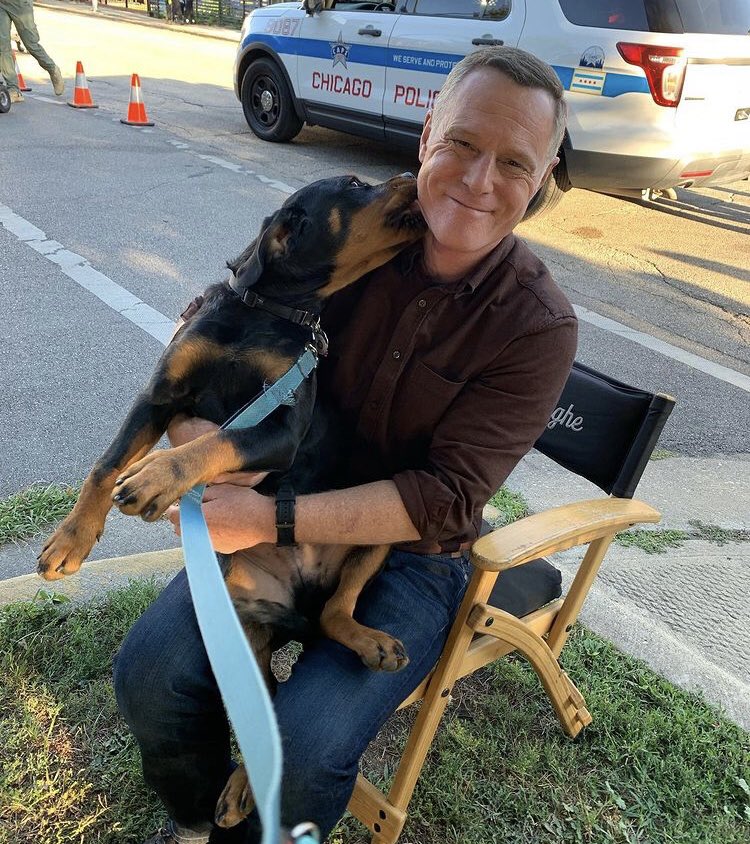 📷 | Jesse Lee Soffer, Tracy Spiridakos and Jason Beghe on the set of Chicago PD Season 9.
(c) ig: yese23