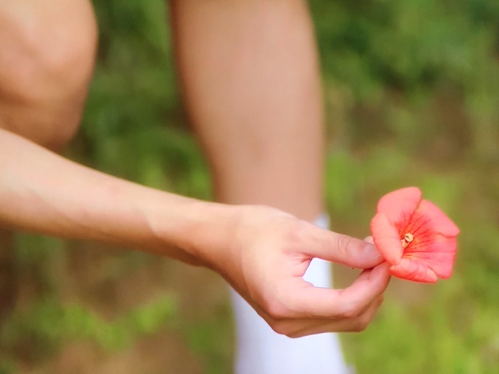 偶然見つけたハル ep7 ハルが‥ツンに🥰→ツン好きなのできらきら見え