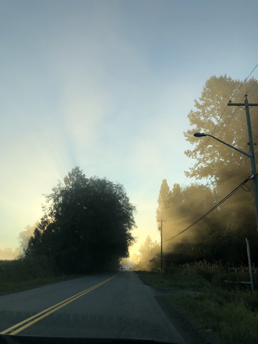 7lemontrees's tweet image. Early morning shots #phonetography #NotAPro