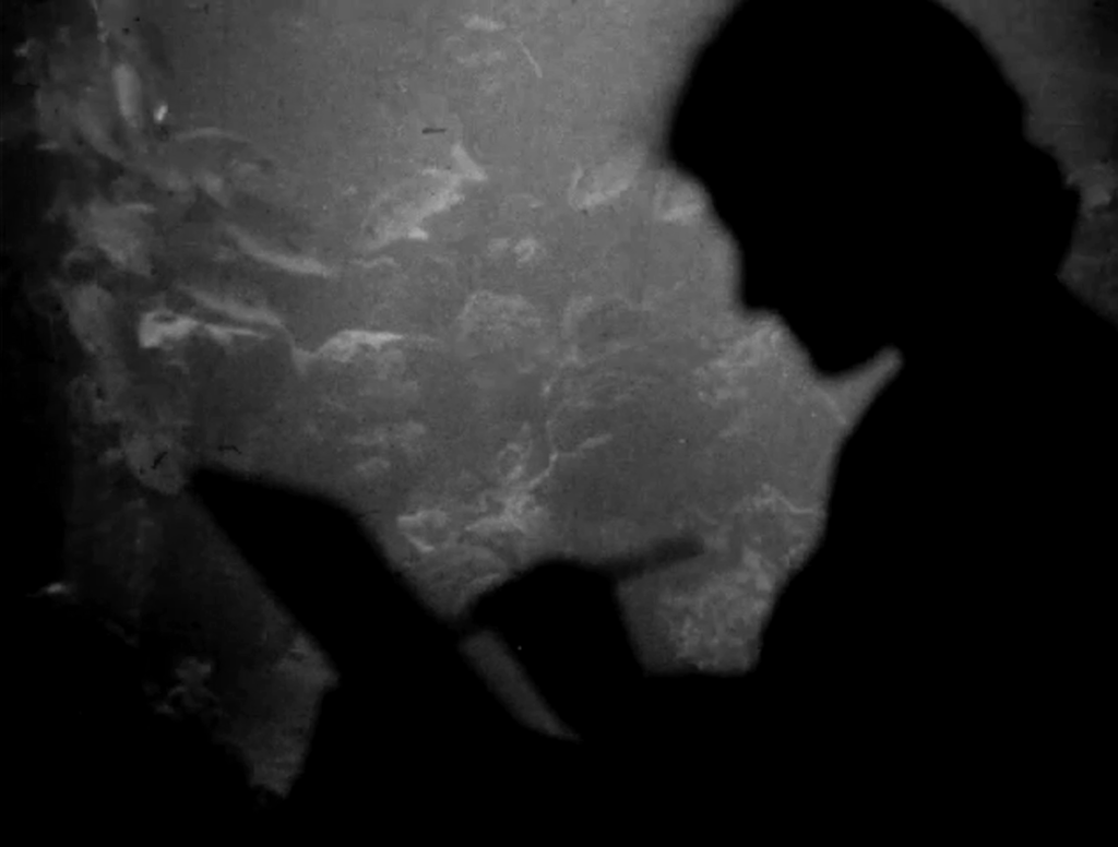 I wasn’t even looking for anything like that. I often go looking for weird, obscure archives and not really knowing why. So it was very accidental how I found that set of videos in the Field Museum archive. 
blog.miniflix.tv/creating-cinem…

#miniflixTv #watchinterview #Jennifer_Boles