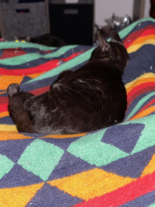 Blurry, but my little Fuji missed me. Was out on travel for work for a month straight.  I missed my little