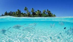 amitabhk87's tweet photo. Responsible &amp; Sustainable tourism based on carrying capacity in Lakshadweep islands. Delighted to participate in Investors conference on Eco Tourism projects at Minicoy, Kadmat &amp; Suheli islands. Sensitive tourism can emerge as a big job creator for local islanders. https://t.co/DoRrfRjQHj
