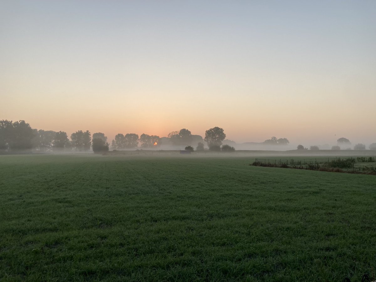 Frederick Verstraeten tweet media