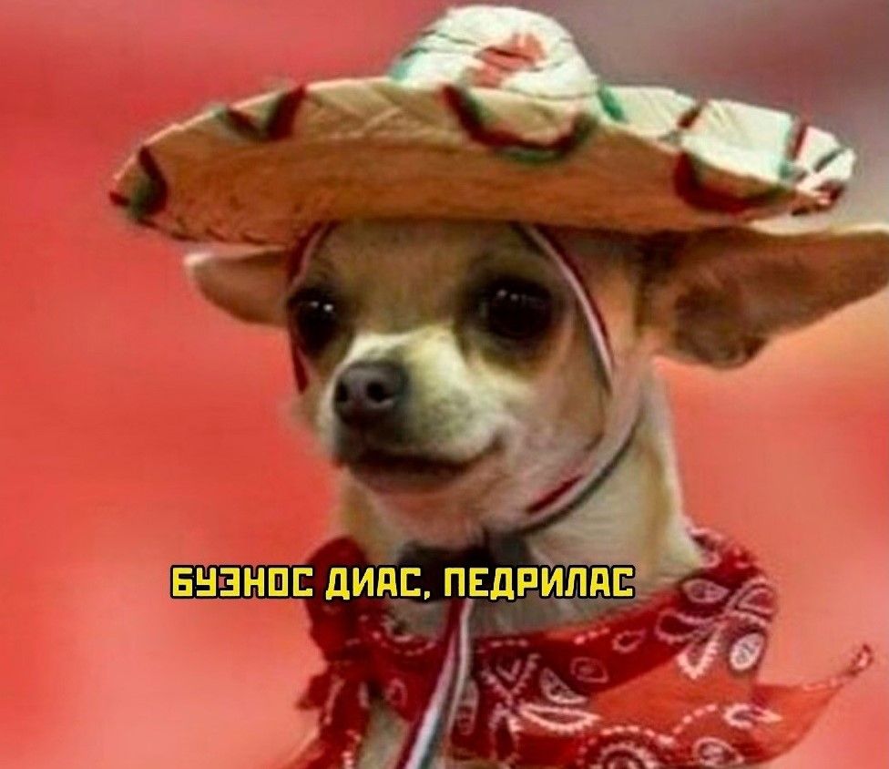 drunktwi's tweet photo. Когда приехал из отпуска и приходишь на работу https://t.co/KywVysZrHg