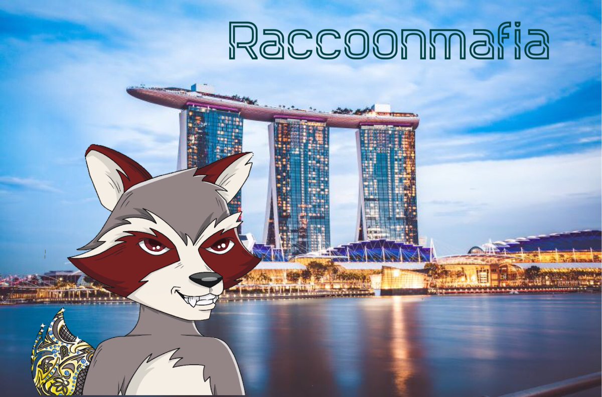 LaksaTv's tweet photo. Beware! Raccoons have been spotted taking of Singapore @raccoonNFT 
#RaccoonMafiaCity https://t.co/UQ7xW7Apmx