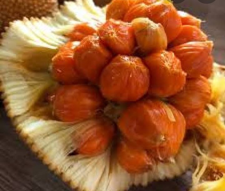 Ini buah lokal kekayaan flora asli Indonesia lho, siapa yang tau nama buah ini, kebanyakan malah tau buah import spt buah Acke, Aprikot, Jabutijaba, blueberry dll. Hayo apa coba nama buah ini ? Sertakan tagar yuk

#Perpres77Unfaedah
#Perpres77Unfaedah