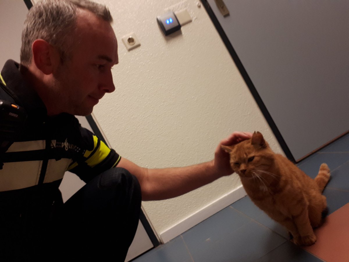 Ff mijn vriend een aai over zn kop geven🐱