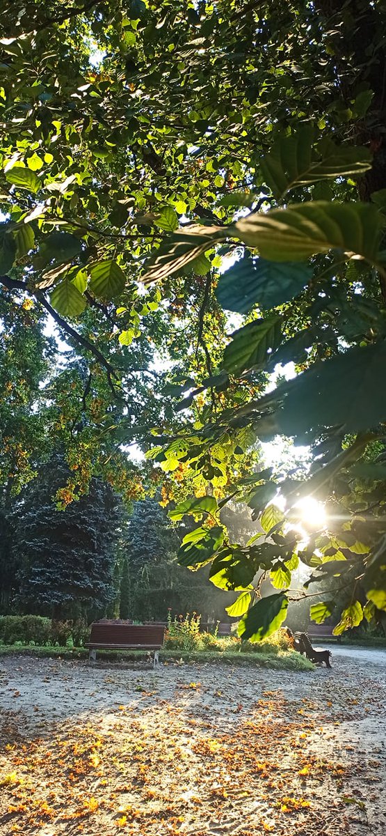parkpowsin's tweet photo. Słońce już wstało w Park Kultury w Powsinie 🌞
Życzymy Wam miłego dnia ! https://t.co/cmB78zUDsg