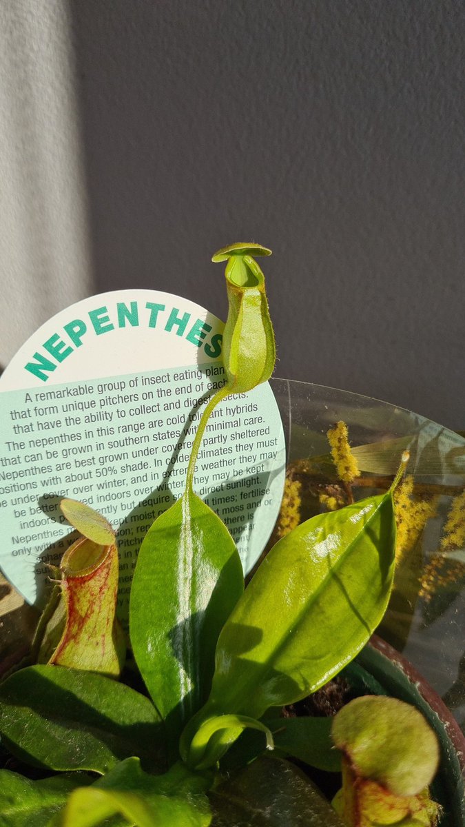 Oliver Kelly tweet media