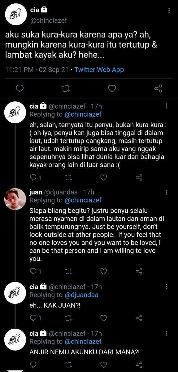 xiaodejay's tweet image. —prompt

{the turtle's destiny}