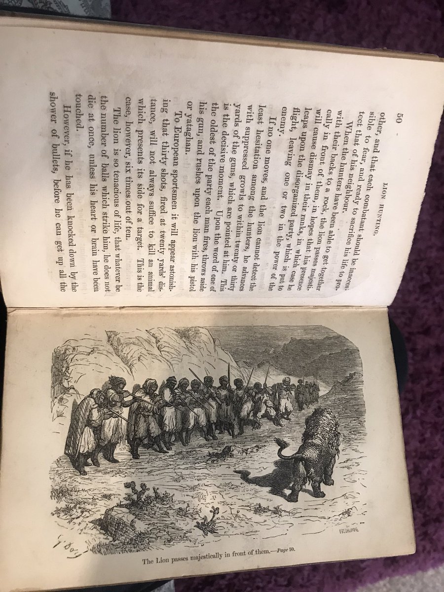 new to the collection