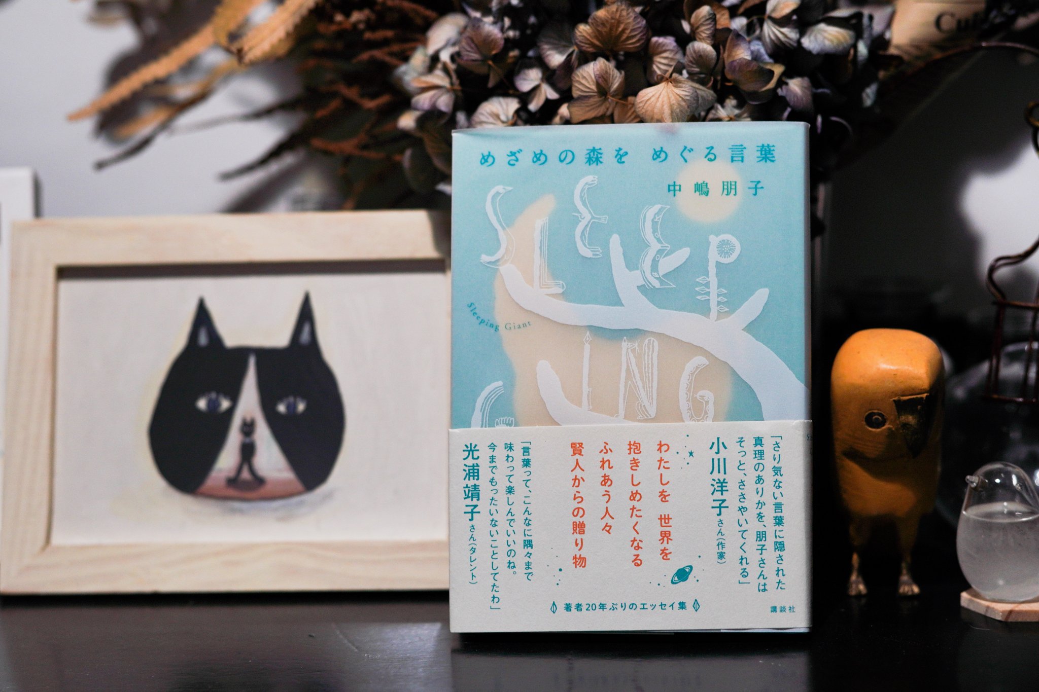 تويتر 犬服nico25stime على تويتر 従妹の本が発売です 9 1発売 女優 中嶋朋子のエッセイ集 めざめの森を めぐる 言葉 彼女の紡ぐ言葉に 柔らかな 暖かい時間を感じる 中嶋朋子 目覚めの森をめぐる言葉 T Co Jsrbxiqg5m