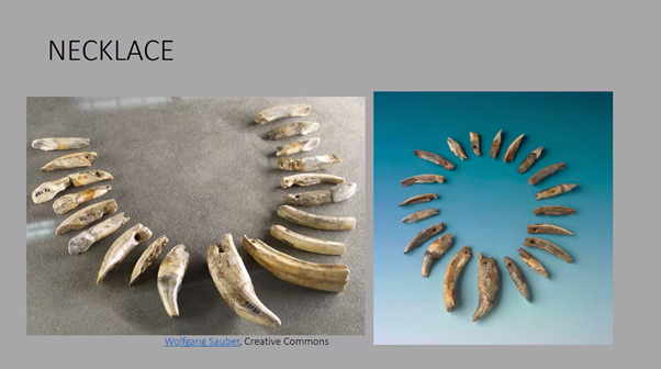 Jennifer_R_Hull's tweet photo. More historically documented artefacts. These perforated teeth were interpreted as a necklace despite only approx. half with evidence of perforation. Interpretation, critical analysis and/or reanalysis are very important aspects of research #WBRG14 @UjPalaeo https://t.co/GBUmRwUPSq