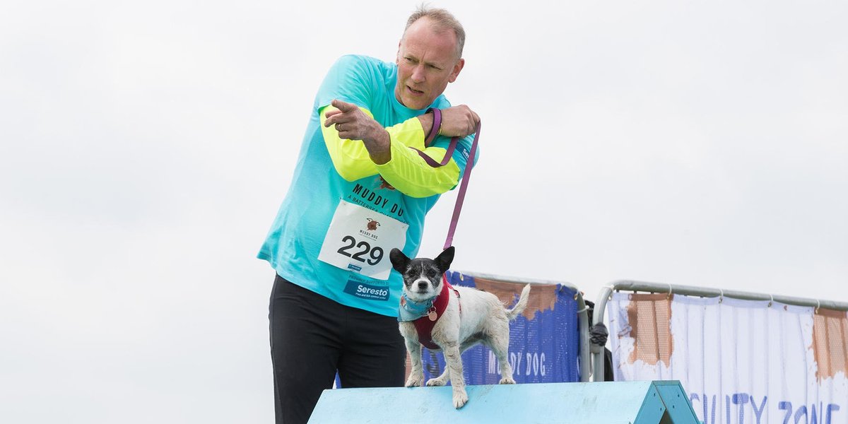 Battersea_'s tweet image. Are you coming to the first #MuddyDogChallenge Event of the year in Stansted tomorrow? 💙 We are so excited to be back, and can&apos;t wait to see you all! 🎉