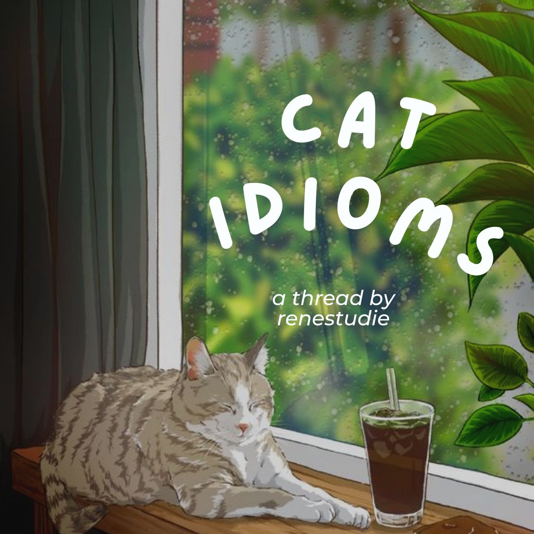 Catchy Cat Idioms and Their Meanings 🇬🇧 I've some guide for you all who ...