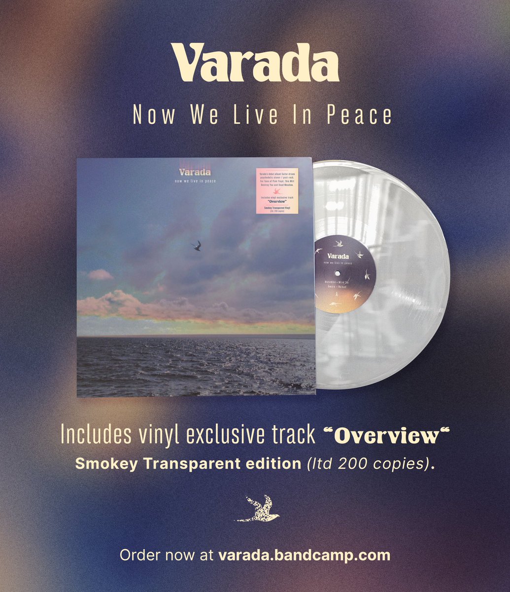 Muy feliz de lanzar finalmente “Now We Live in Peace” en vinilo, disponible ya en Bandcamp (link en bio). Incluye “Overview”, un b-side exclusivo de las mismas sesiones de grabación del disco. Solo 200 copias, en disco transparente humeado. Envíos internacionales!