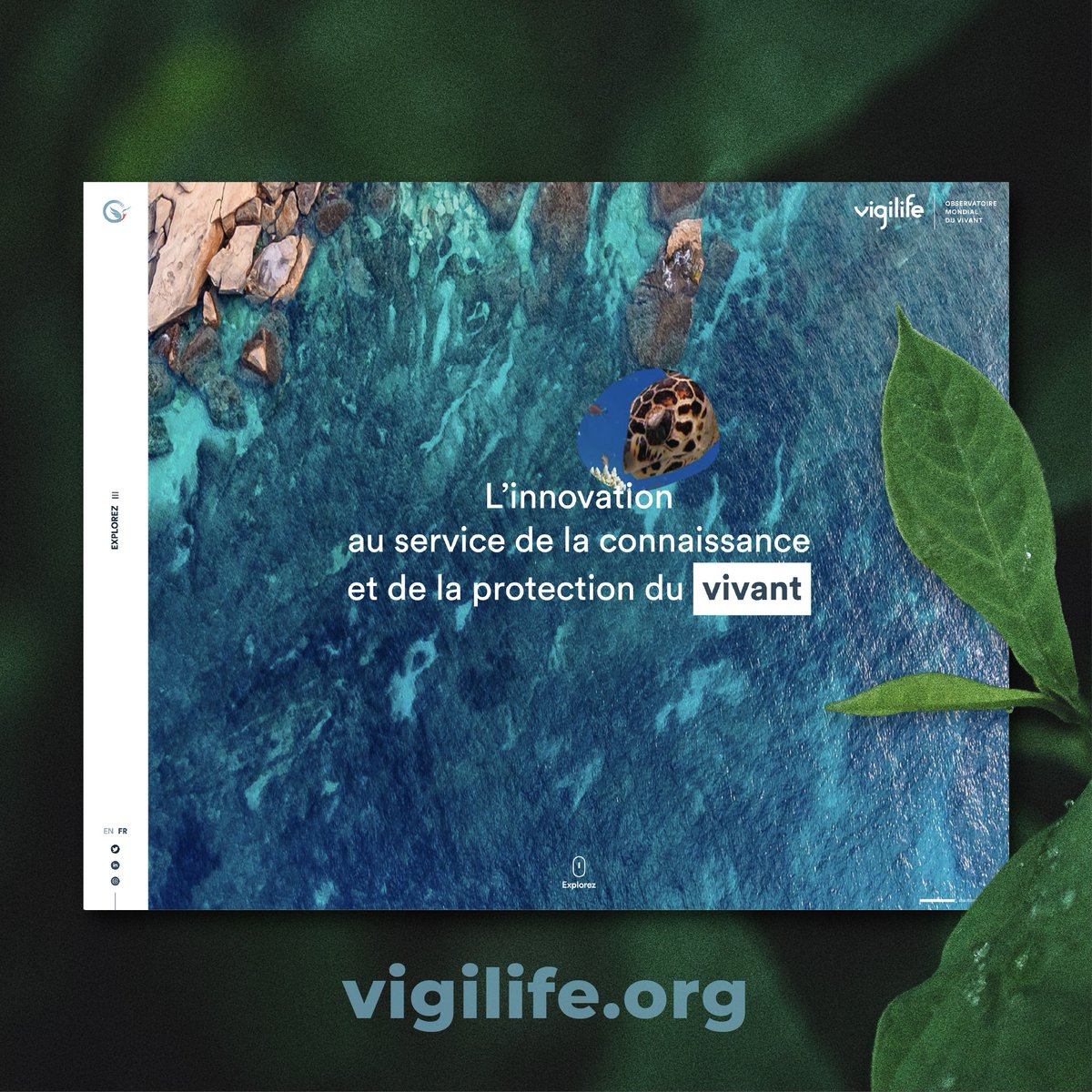 For the #IUCNcongress, we are happy to announce the launch of the #Vigilife website vigilife.org of the Global #Life Observatory. We warmly thank partners and sponsors, who made this initiative possible. For information or to join the initiative, please contact us!
