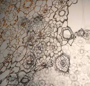 Indian Ocean Craft Triennial (@crafttriennial) on Twitter photo Exquisite things are appearing. As part of the Indian Ocean Craft Triennial, In-Situ opens from Sat 4th September. The Holmes a Court Gallery will be filled with impressive large scale installations. Don't miss it. Visit <a href="/hacgallery/">HolmesàCourtGallery</a> #pickledistrict #Perth #exhibition #iota21 Exquisite things are appearing. As part of the Indian Ocean Craft Triennial, In-Situ opens from Sat 4th September. The Holmes a Court Gallery will be filled with impressive large scale installations. Don't miss it. Visit <a href="/hacgallery/">HolmesàCourtGallery</a> #pickledistrict #Perth #exhibition #iota21