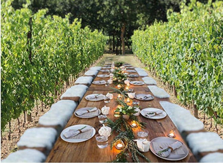 Take your wedding vows and have the wedding of your dreams right in the vineyards at one of the beautiful winery in Tuscany! #winetasting #tuscany #destinationwedding #wedding <a href="/TenutaTorciano/">Tenuta Torciano</a>