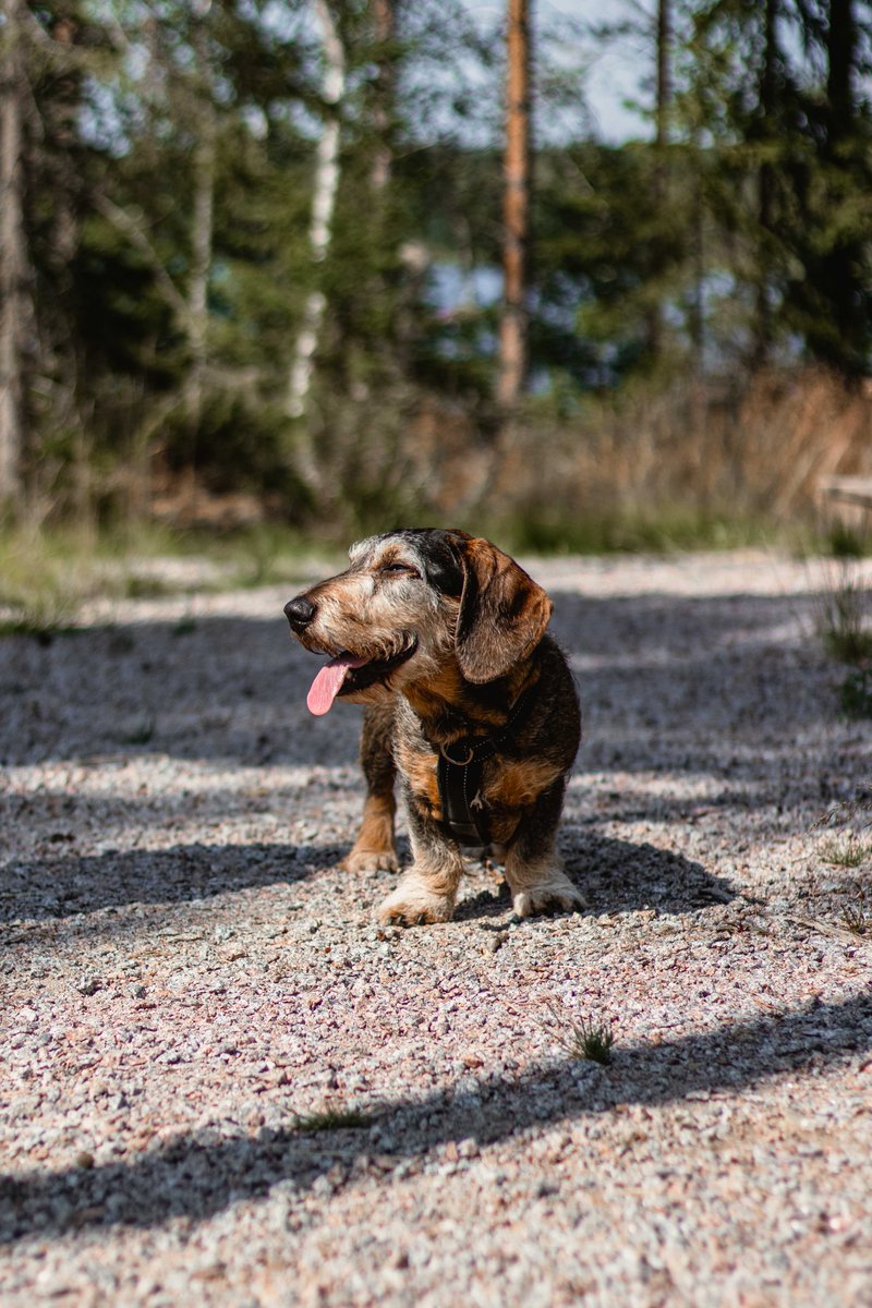 Tässä on Urho. Urho on sitä mieltä, että mökillä on mukavaa. Olisiko sinustakin mukava viettää kesälomaa mökkimaisemissa tai tehdä etätöitä järven rannalta käsin? 🏡

BearIT:llä saat työsuhde-etuna kesämökin kaupan päälle! Tsekkaa avoimet työpaikkamme ➡️ ura.bearit.fi