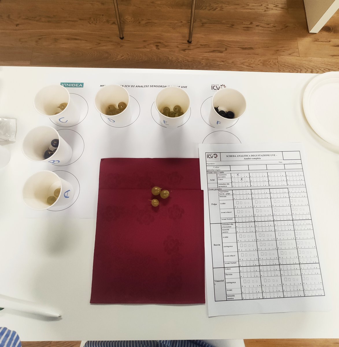 Enopiave's tweet image. Corso di formazione in aula con Vinidea : metodologia ICV di analisi sensoriale delle uve